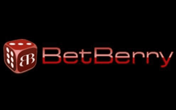Betberry: Cara Akses dan Fungsi Utama dari Link Alternatif Resmi